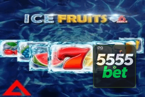 5555BET ajuda online — chat de suporte no aplicativo oficial