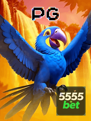 5555BET bônus — cashback 15 por cento e níveis VIP